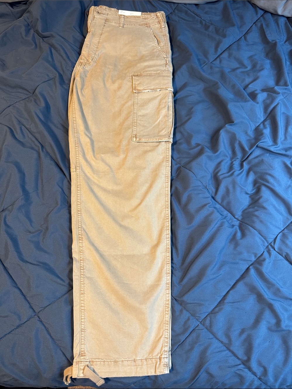 American Eagle Outfitters Tan Lived-In Cargo Pants with Side Pocket